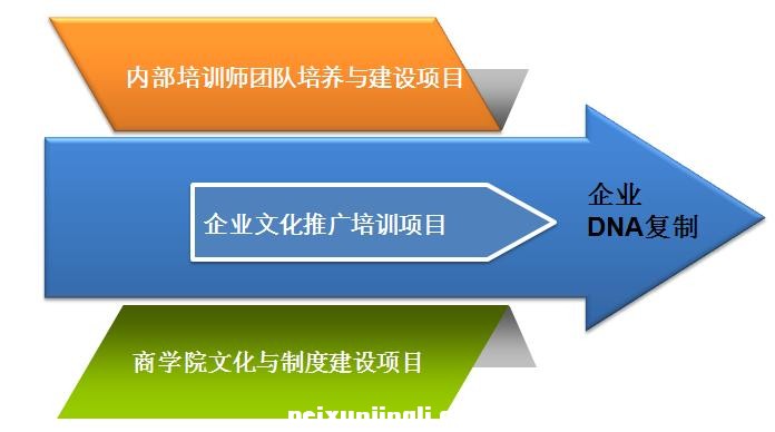  基于企业文化的企业DNA复制体系