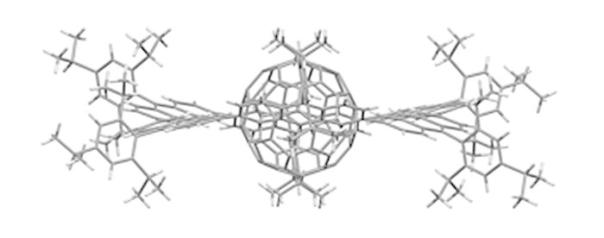 超级分子复合体